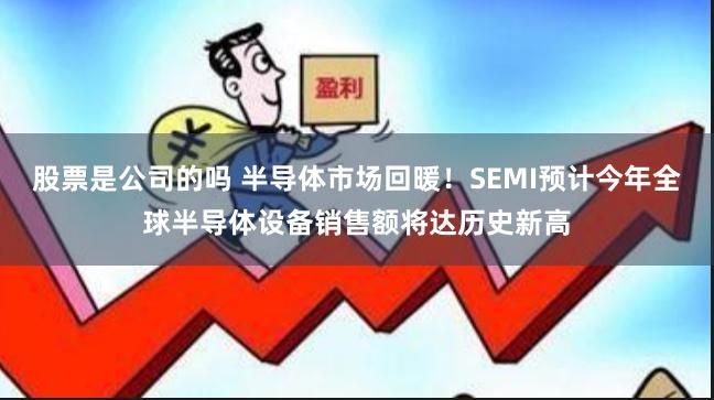 股票是公司的吗 半导体市场回暖！SEMI预计今年全球半导体设备销售额将达历史新高