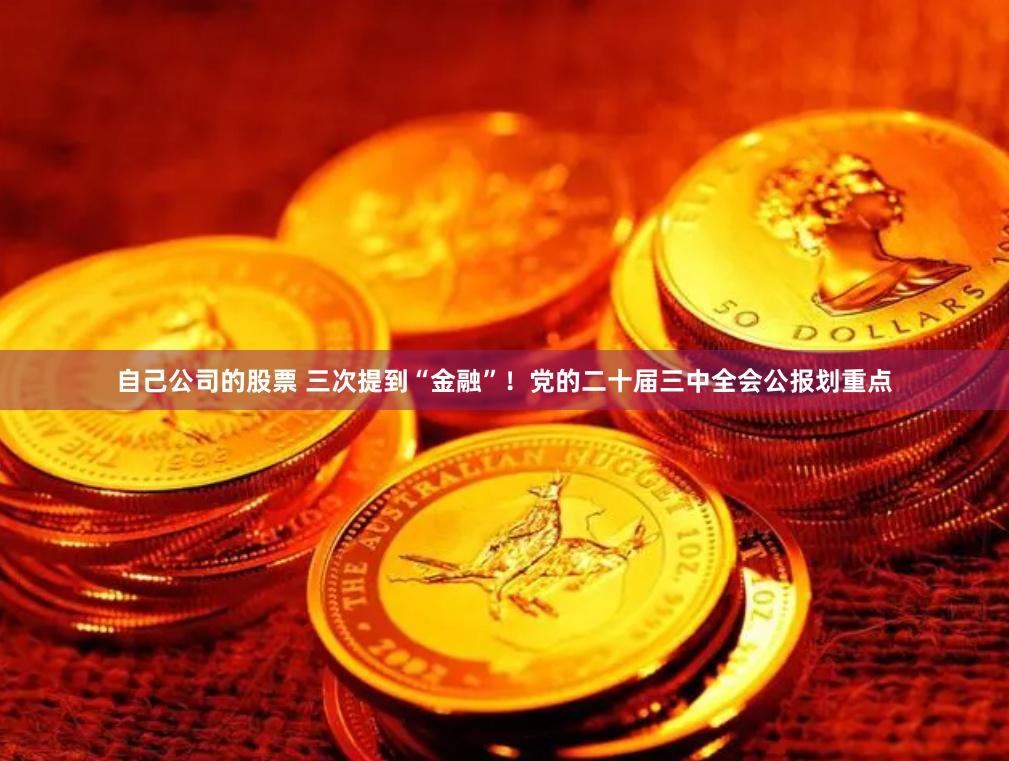 自己公司的股票 三次提到“金融”！党的二十届三中全会公报划重点