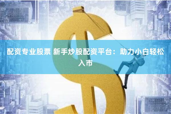 配资专业股票 新手炒股配资平台：助力小白轻松入市