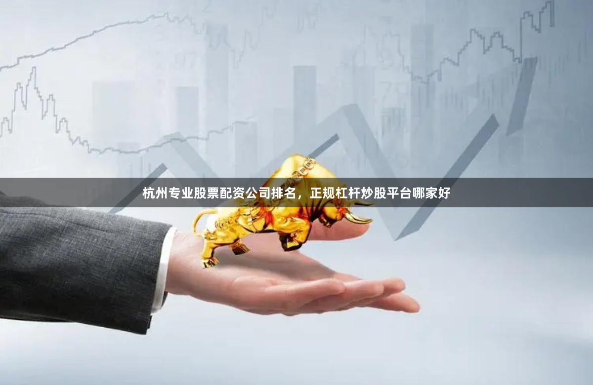 杭州专业股票配资公司排名，正规杠杆炒股平台哪家好