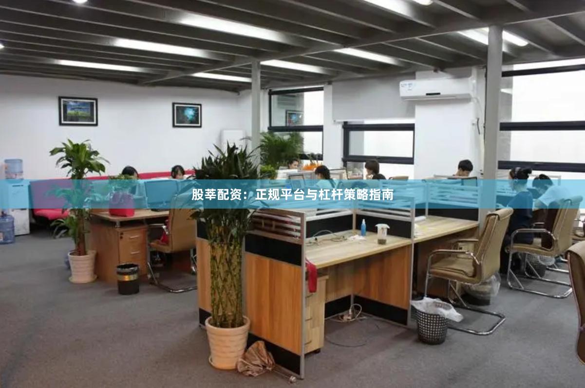 股莘配资：正规平台与杠杆策略指南
